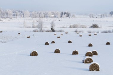 Saman balyalarıyla karlı kış manzarası
