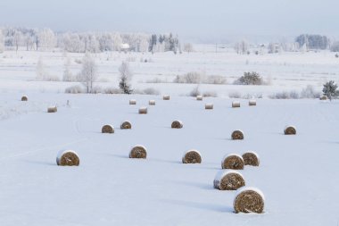Saman balyalarıyla karlı kış manzarası