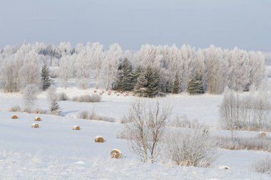 Saman balyalarıyla karlı kış manzarası