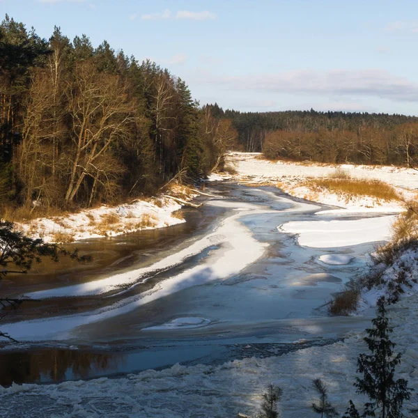 Nehir ve ormanın kış manzarası