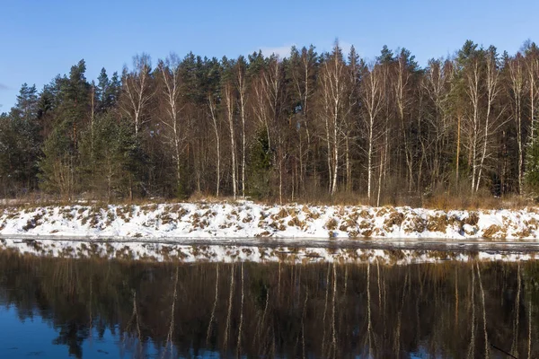 Zimowy Krajobraz Rzeki Lasu — Zdjęcie stockowe