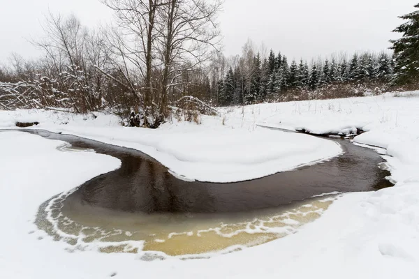 Paysage Hivernal Enneigé Des Rivières Des Forêts — Photo