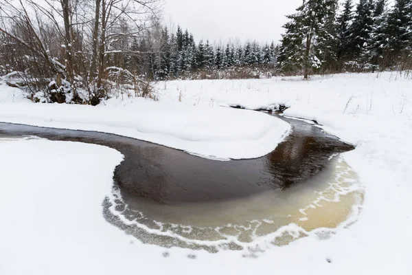 Verschneite Winterlandschaft Aus Fluss Und Wald — Stockfoto