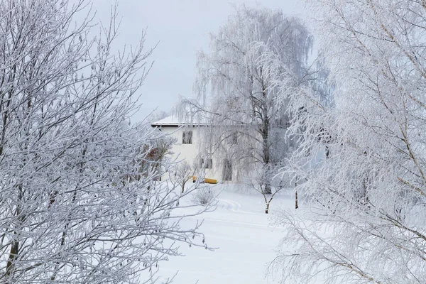 Budynek Wiejskim Śnieżnym Krajobrazem Zimą — Zdjęcie stockowe