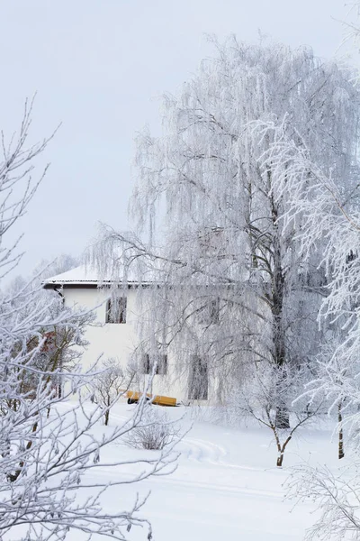 Budynek Wiejskim Śnieżnym Krajobrazem Zimą — Zdjęcie stockowe