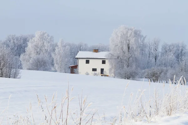 Κτίριο Αγροτικό Χιονισμένο Τοπίο Χειμώνα — Φωτογραφία Αρχείου