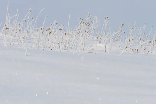 Hermoso Paisaje Nevado Temporada Invernal —  Fotos de Stock