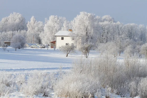 Ośnieżony Krajobraz Wiejski Zimą — Zdjęcie stockowe