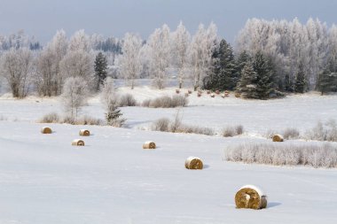 Saman balyalarıyla karlı kış manzarası
