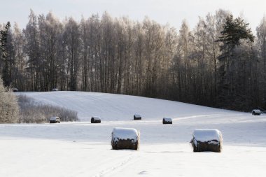 Saman balyalarıyla karlı kış manzarası