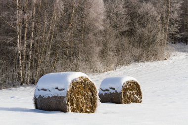 Saman balyalarıyla karlı kış manzarası