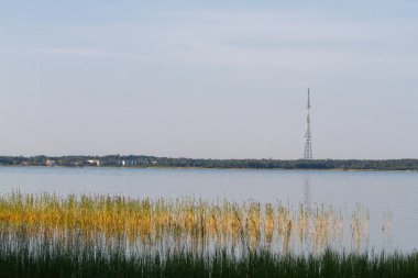 Uzun çimenli nehir kıyısı