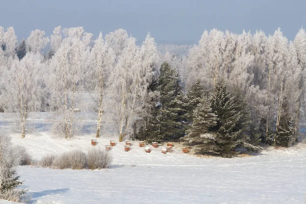 Linda Paisagem Nevada Temporada Inverno — Fotografia de Stock