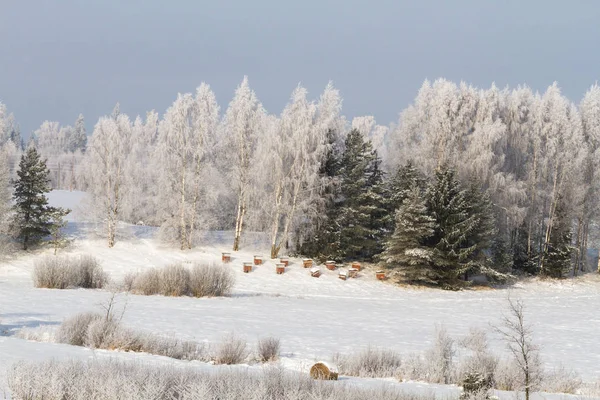 Piękny Śnieżny Krajobraz Sezonie Zimowym — Zdjęcie stockowe