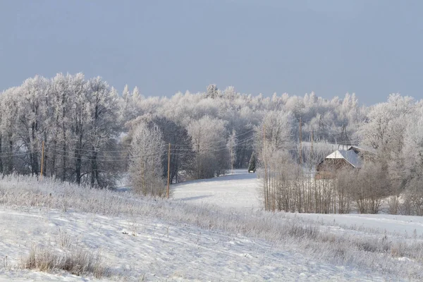 Prachtig Besneeuwd Landschap Het Winterseizoen — Stockfoto