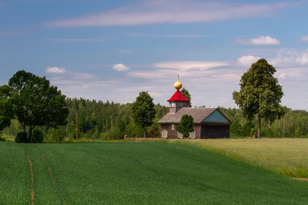 Yeşil Çimenlikteki Ahşap Ortodoks Kilisesi — Stok fotoğraf