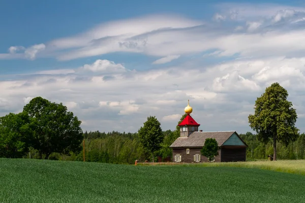 Chiesa Ortodossa Legno Prato Verde — Foto Stock