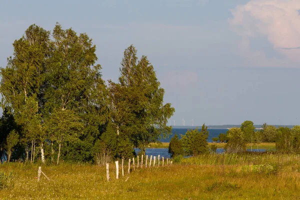 Hermoso Paisaje Día Soleado — Foto de Stock