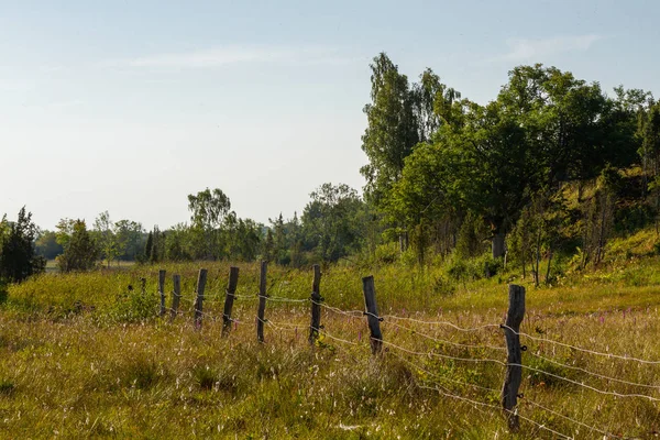 Piękny Krajobraz Słoneczny Dzień — Zdjęcie stockowe