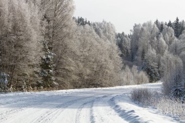 Kırsalda soğuk ve karlı kış