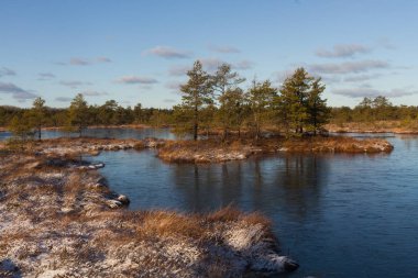 Kışın bulutlu ve buzlu Boglake