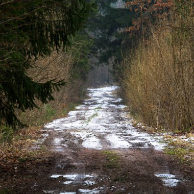 Sonbaharda Grza nehrinde küçük bir şelale. Doğa parkında ormanla çevrili küçük güzel bir nehir Grza..