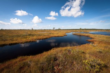 Kıyısı olan güzel bir nehir manzarası