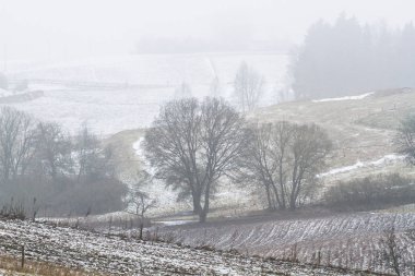 Kar ve ağaçlarla kaplı kış manzarası
