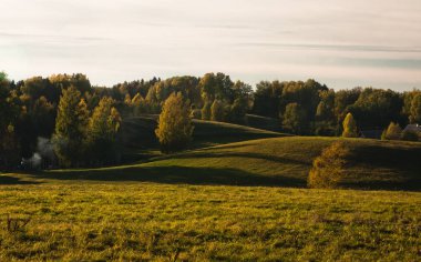 Güneşli bir günde güzel yeşil bir manzara