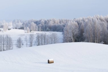 Kış mevsiminde karlı çayırlarda saman balyası 
