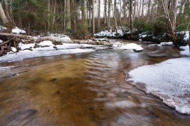 Kış ormanında küçük bir nehir