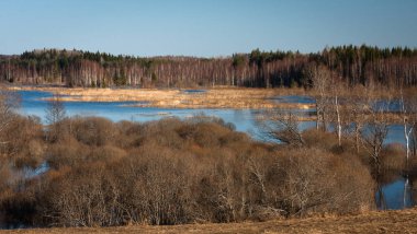 Nehir ve kışın orman manzarası