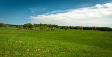 Güzel yeşil çayır ve orman manzarası