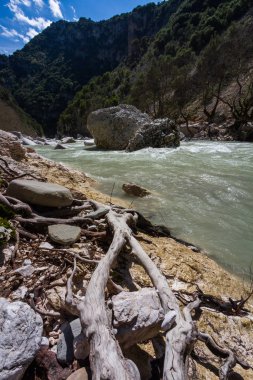 Güneşli bir gün dağ Nehri
