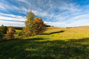 Güneşli bir günde güzel yeşil bir manzara