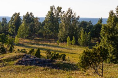Güneşli günde güzel manzara