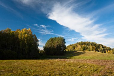 Güneşli bir günde güzel yeşil bir manzara
