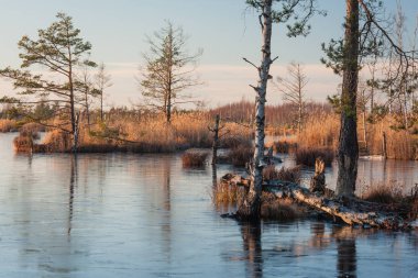 Bahar mevsiminde güneşli bir günde nehir kıyısı