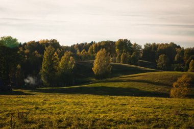 Güneşli bir günde güzel yeşil bir manzara