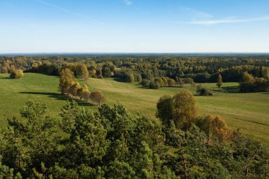 Güneşli bir günde güzel yeşil bir manzara