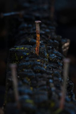 Demir çivili ahşap çit