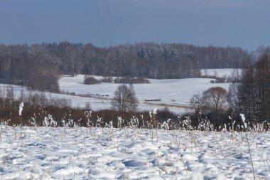 Kışın karlı saman küpleri
