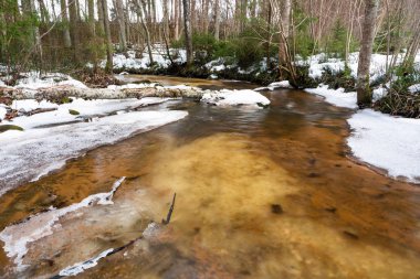 Kış ormanında küçük bir nehir
