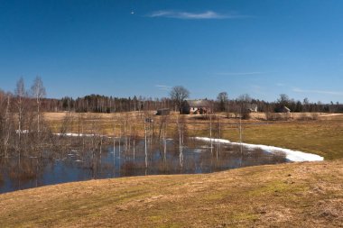 Nehir ve kışın orman manzarası