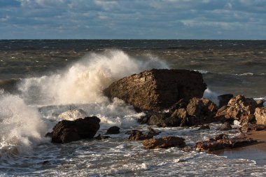 Baltık deniz kıyılarında dalgalar
