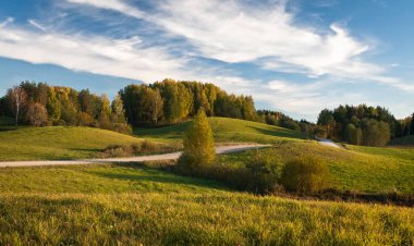 Güneşli bir günde güzel yeşil bir manzara