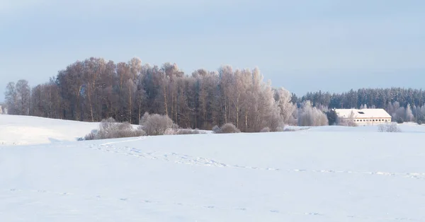 Śnieżny Krajobraz Sezonie Zimowym — Zdjęcie stockowe