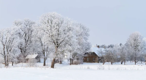 Houten Gebouw Besneeuwd Landschap Het Winterseizoen — Stockfoto