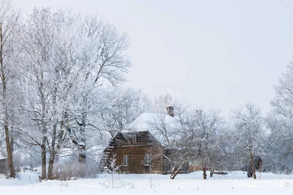 Zimowy Krajobraz Brzoza Biała Pokryta Mrozem — Zdjęcie stockowe