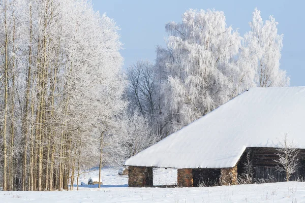 Paisagem Inverno Com Árvores Cobertas Neve — Fotografia de Stock